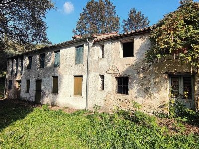 casa indipendente in vendita a Cinto Euganeo in zona Valnogaredo