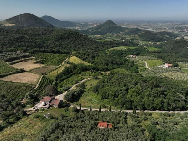 terreno agricolo in vendita a Cinto Euganeo in zona Valnogaredo