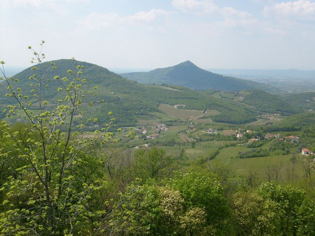 negozio in vendita a Cinto Euganeo