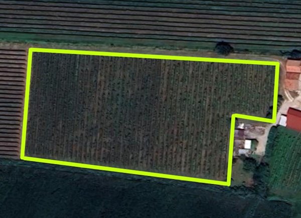 casa indipendente in vendita a Cinto Euganeo