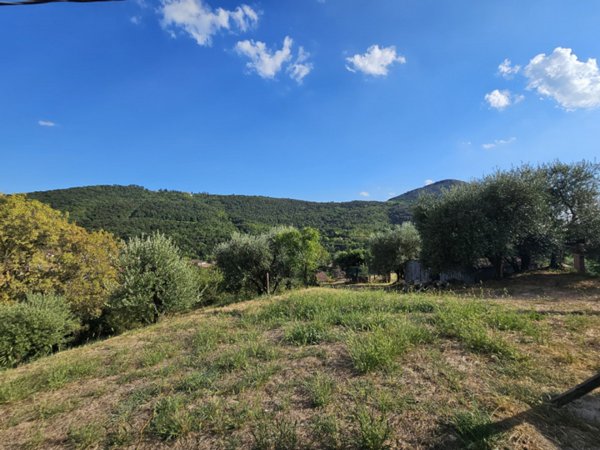 casa indipendente in vendita a Cinto Euganeo in zona Faedo