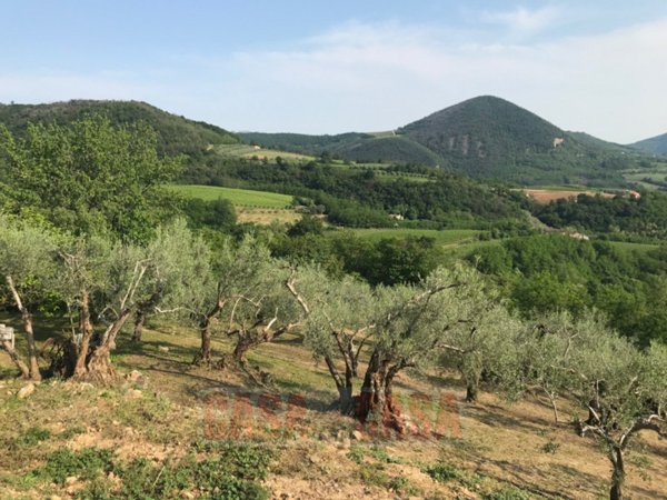 casale in vendita a Cinto Euganeo in zona Valnogaredo