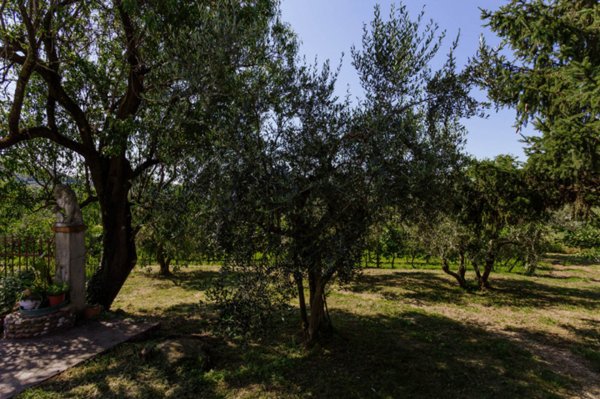 casa indipendente in vendita a Cinto Euganeo in zona Valnogaredo