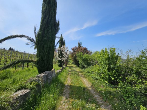casale in vendita a Cinto Euganeo in zona Valnogaredo