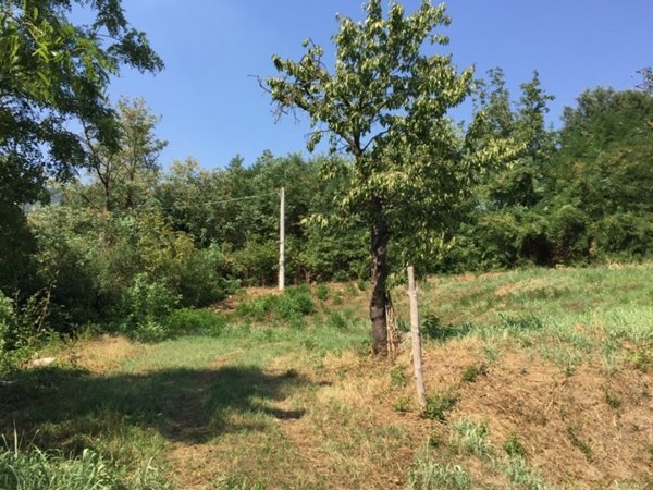 terreno agricolo in vendita a Cinto Euganeo