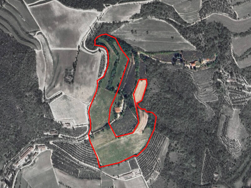 terreno agricolo in vendita a Cinto Euganeo