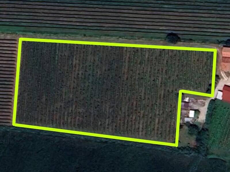 casa indipendente in vendita a Cinto Euganeo