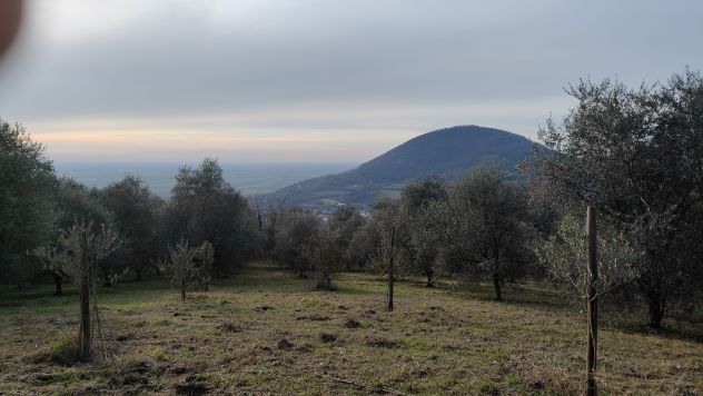 casa indipendente in vendita a Cinto Euganeo