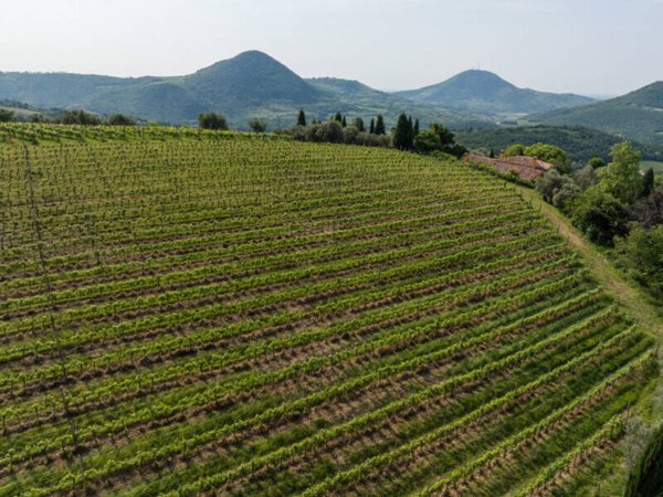 casa indipendente in vendita a Cinto Euganeo