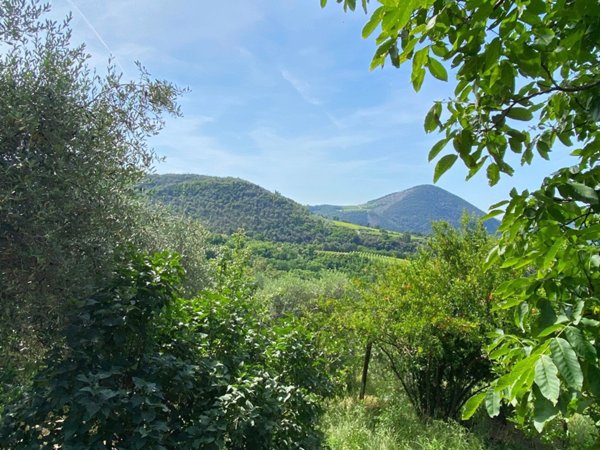casale in vendita a Cinto Euganeo in zona Valnogaredo