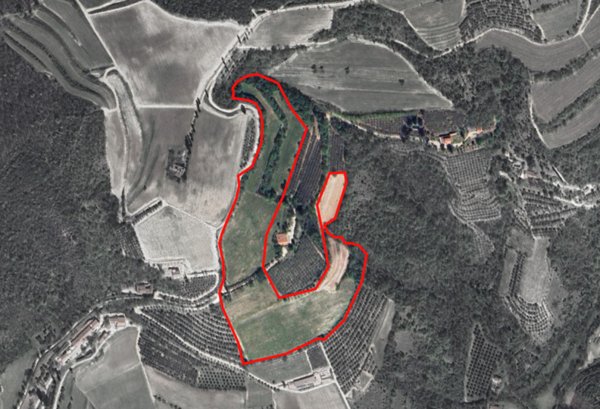 terreno in vendita a Cinto Euganeo