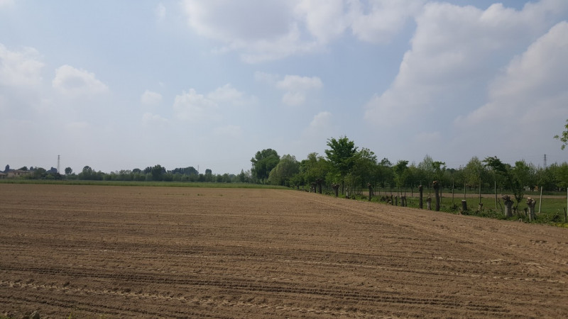 terreno agricolo in vendita a Cittadella