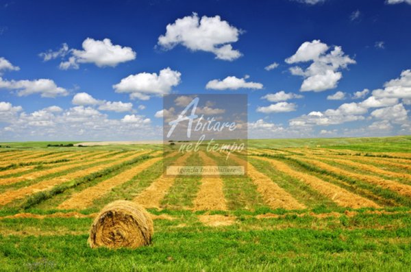 terreno agricolo in vendita a Cittadella