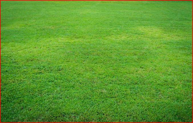 terreno agricolo in vendita a Cittadella