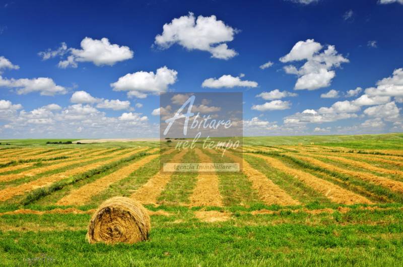 terreno agricolo in vendita a Cittadella