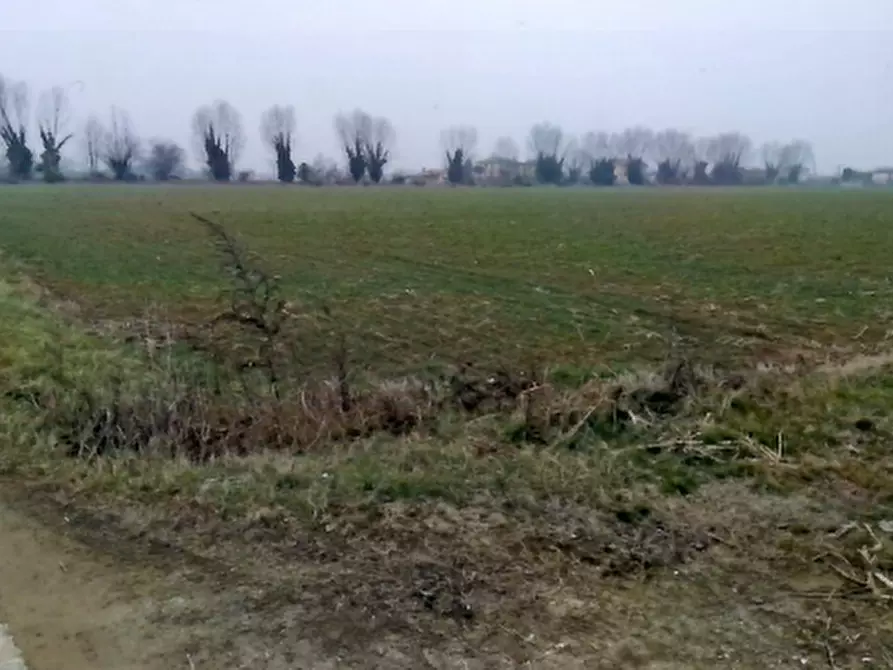 terreno agricolo in vendita a Cittadella