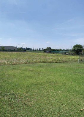 terreno agricolo in vendita a Cittadella