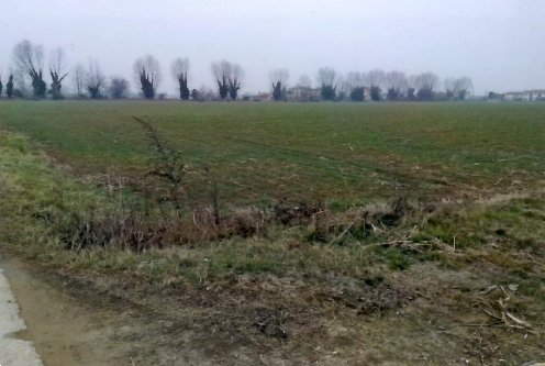 terreno agricolo in vendita a Cittadella
