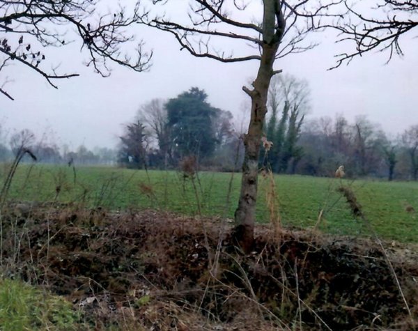 terreno agricolo in vendita a Cittadella