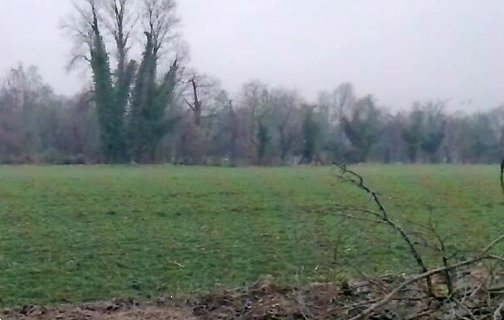 terreno agricolo in vendita a Cittadella