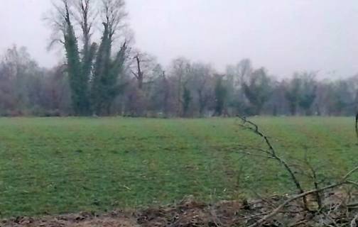terreno agricolo in vendita a Cittadella