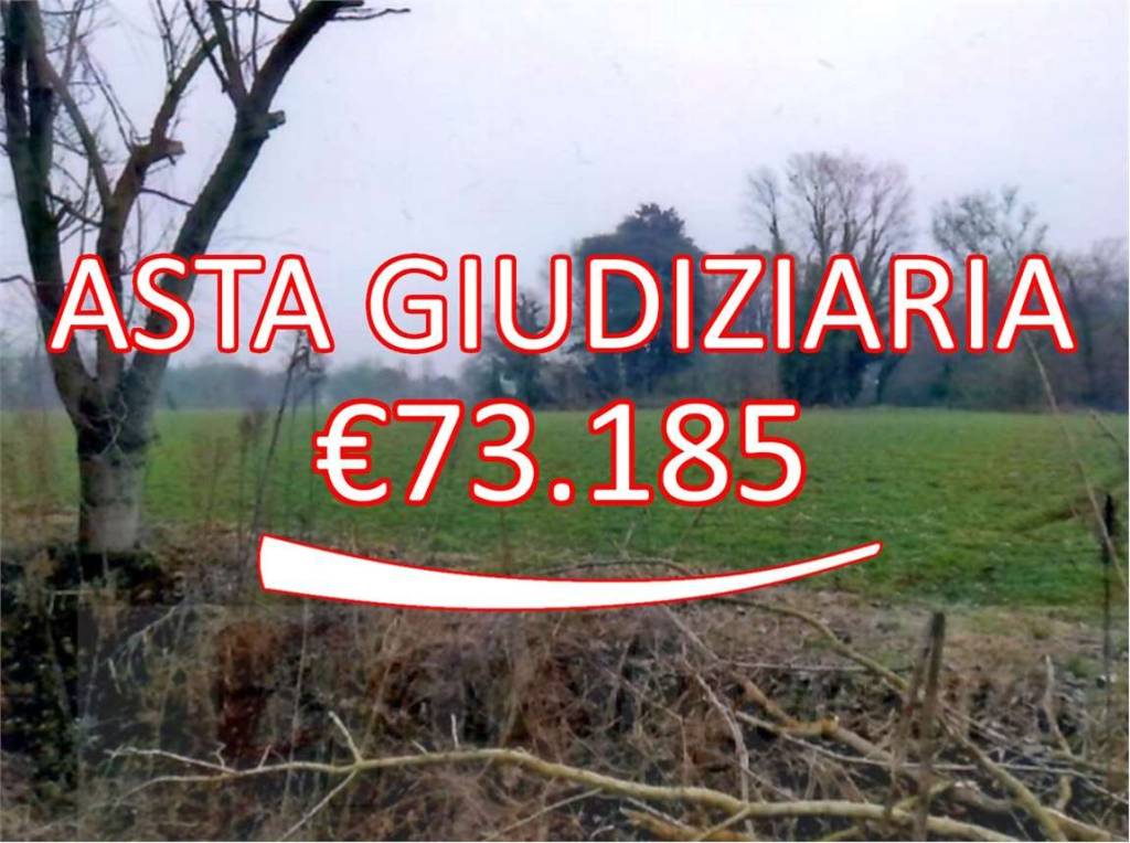 terreno agricolo in vendita a Cittadella