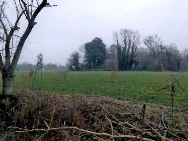terreno agricolo in vendita a Cittadella