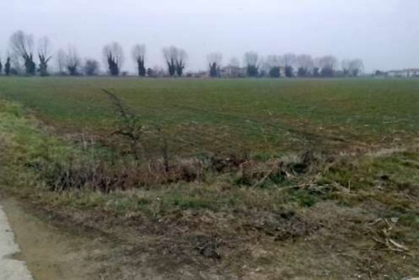 terreno agricolo in vendita a Cittadella