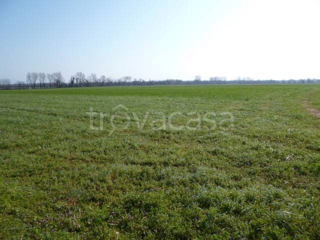 terreno agricolo in vendita a Cittadella