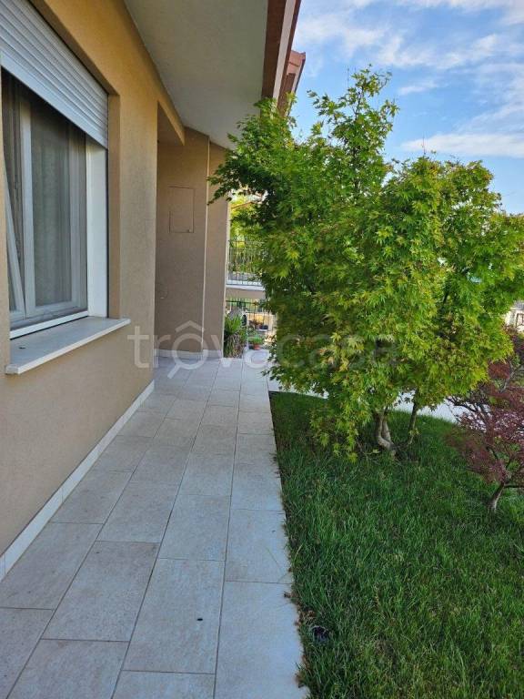 casa indipendente in vendita a Cittadella