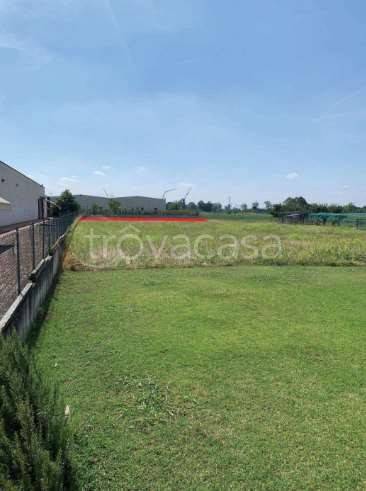 terreno agricolo in vendita a Cittadella