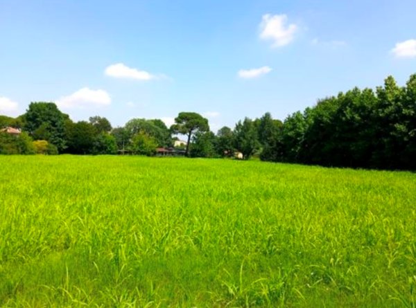 terreno agricolo in vendita a Cittadella
