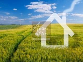 terreno agricolo in vendita a Cittadella