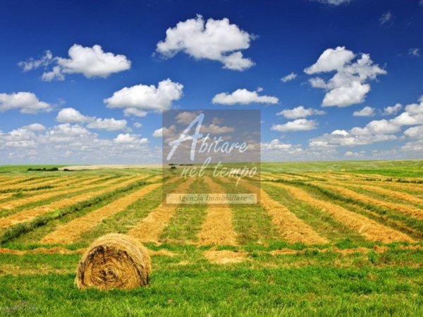 terreno agricolo in vendita a Cittadella