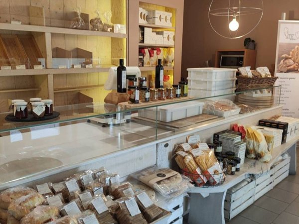 negozio in vendita a Cittadella