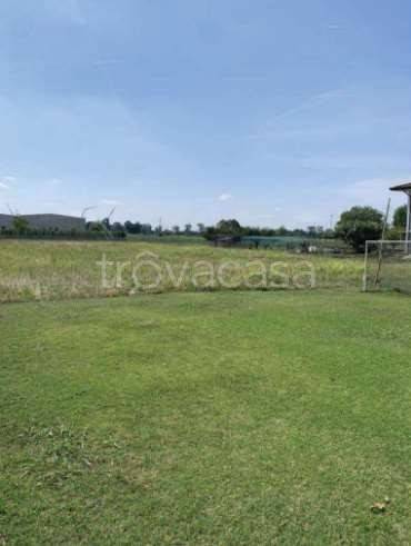 terreno agricolo in vendita a Cittadella