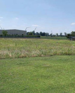 terreno edificabile in vendita a Cittadella