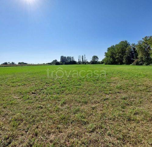 terreno edificabile in vendita a Cittadella