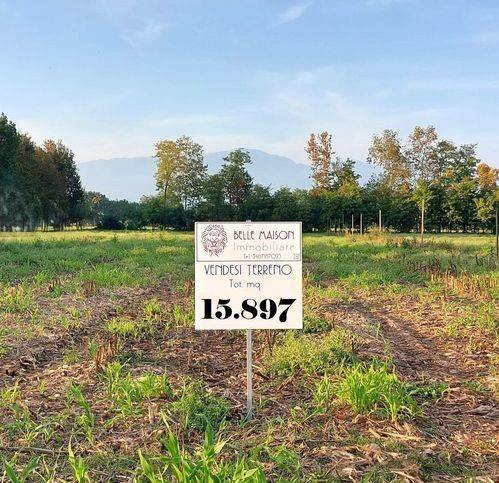 terreno agricolo in vendita a Cittadella