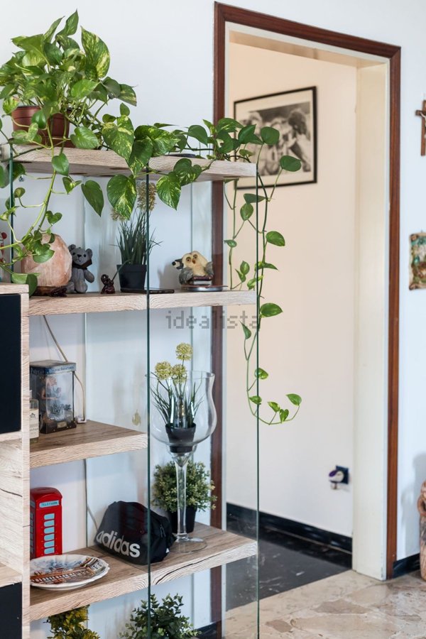 casa indipendente in vendita a Cittadella