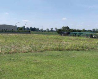 terreno edificabile in vendita a Cittadella