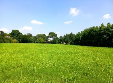 terreno agricolo in vendita a Cittadella
