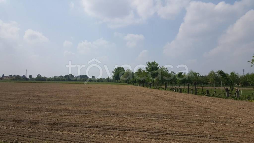 terreno agricolo in vendita a Cittadella