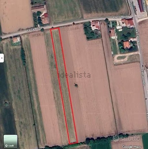 terreno agricolo in vendita a Cittadella