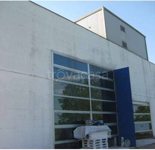 negozio in vendita a Cittadella