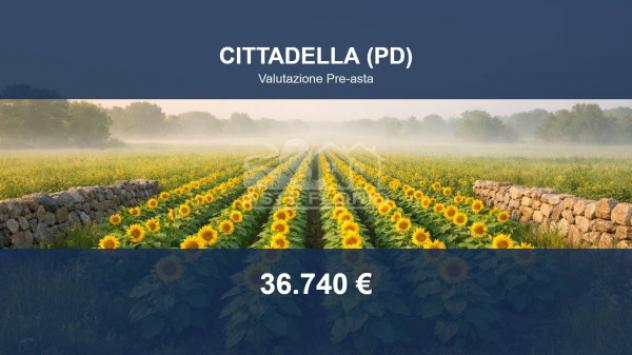 terreno agricolo in vendita a Cittadella