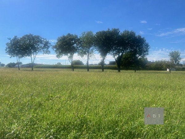 terreno agricolo in vendita a Cittadella