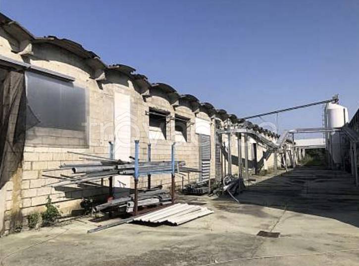 terreno agricolo in vendita a Cittadella