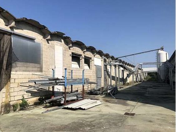 terreno agricolo in vendita a Cittadella