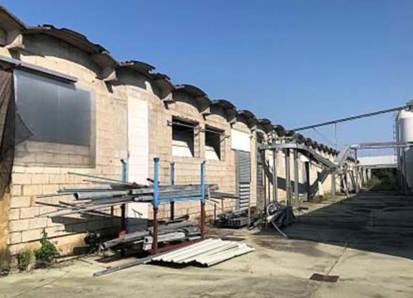 terreno agricolo in vendita a Cittadella